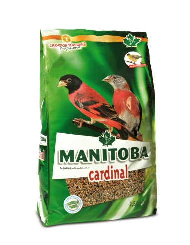 Manitoba Cardinal 2,5kg.