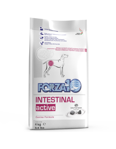 Forza10 Intestinal Active 4kg.